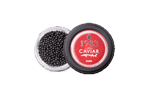 Japan Caviar Sticker