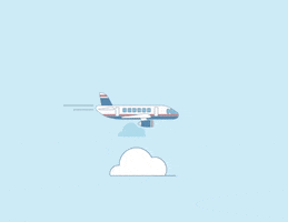 Tceflight GIF