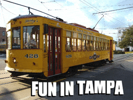 Teach in Tampa GIF