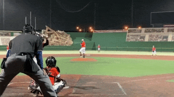 Looking Lets Go GIF by Rawlings Tigers