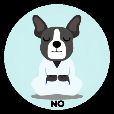 Wollit GIF