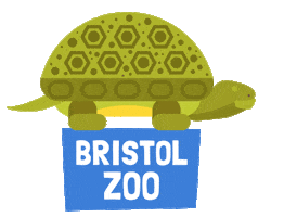 Giant Tortoise Zoo Sticker by BristolZooGardens