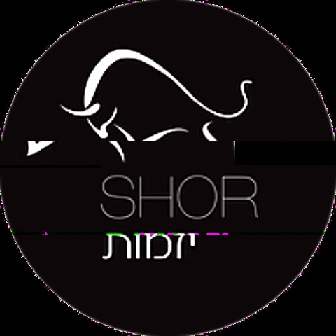 shorinvest GIF