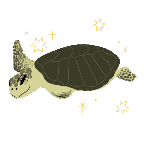 Olive Ridley Project Sticker