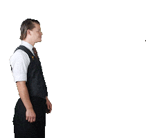 Vogel Sticker by VogelStruys