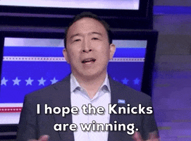 New York Knicks GIF by GIPHY News