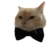 Cats Love Sticker by ogato_design