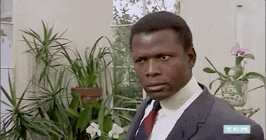Sidney Poitier Stare GIF by Turner Classic Movies