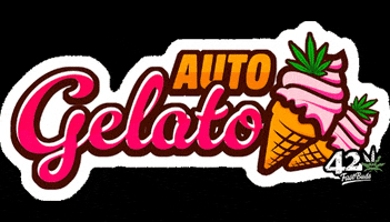 FastBuds gelato fastbuds fast buds gelato auto GIF