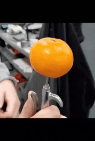 Food Reaction GIF by JustViral.Net