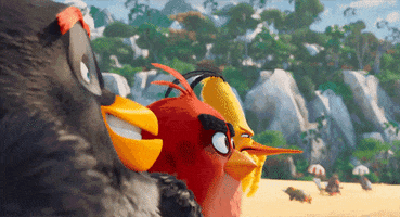 stare seriously GIF by Angry Birds Movie