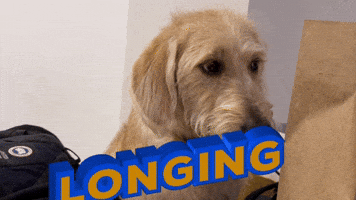 Longing GIF by Alex Li