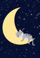200.gif?cid=f0bdee706fu2oh3003fh3fwx38b6ypf9ribjnpz3d026qr87&rid=200.gif&ct=g