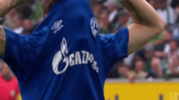 Sad German Soccer GIF by FC Schalke 04