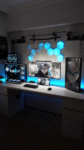 Merosetup GIF
