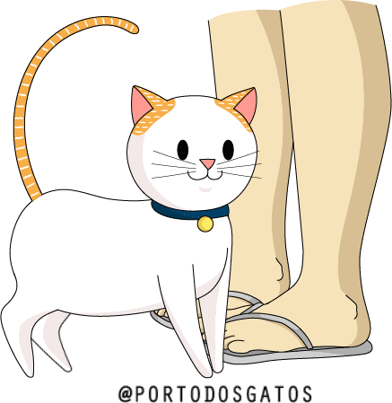 Cat Love Sticker by Porto dos Gatos