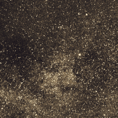 Crypto GIF