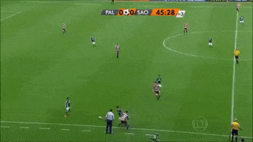 Sao Paulo Dudu GIF by SE Palmeiras