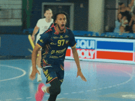 Celebration GIF by Saint-Raphaël Var Handball