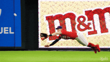 Celebration Yell GIF by Cincinnati Reds