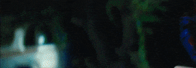 Dinosaur Toad GIF by Theory Of A Deadman
