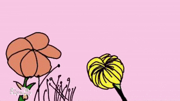 You Are Beautiful Flower GIF
