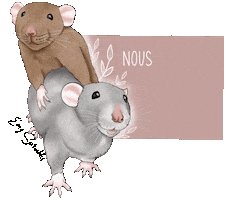 Mouse Hamster Sticker