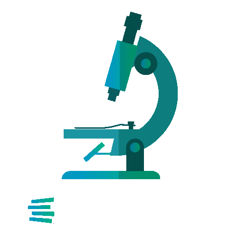 University Place Sticker