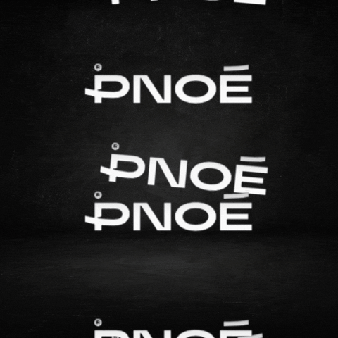 Pnoe Analytics GIF