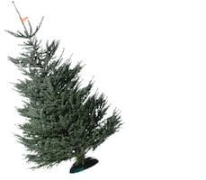 Christbaum Service Sticker