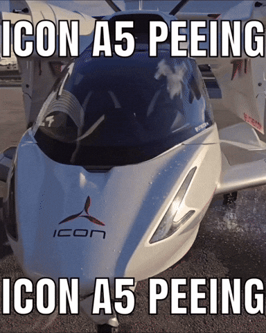 Plane Airplane GIF