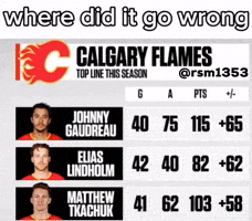Calgary Flames Hockey GIF