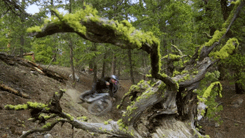 Bike Adventure GIF by IFHT Films