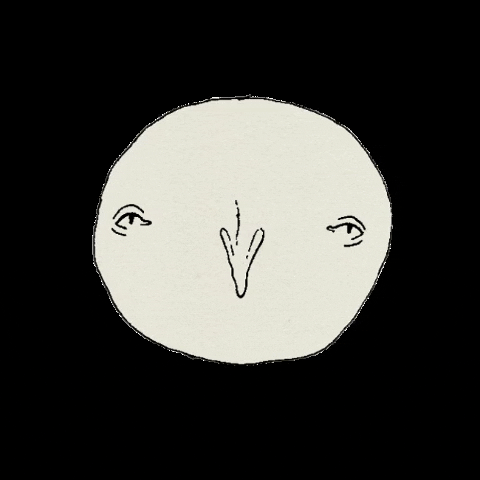Moon GIF