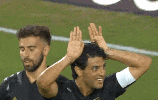 Celebration GIF by Major League Soccer