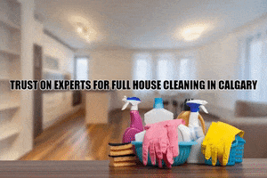 Full House Cleaning In Calgary GIF