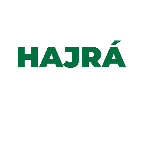 Groupama Arena Sticker