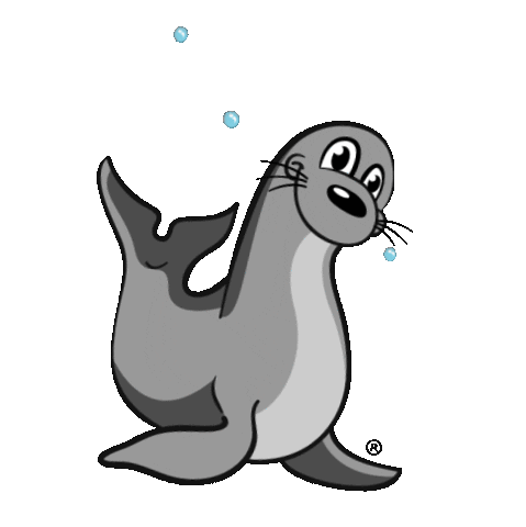 sea lion animated gif