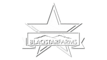 Black Star Farms Sticker