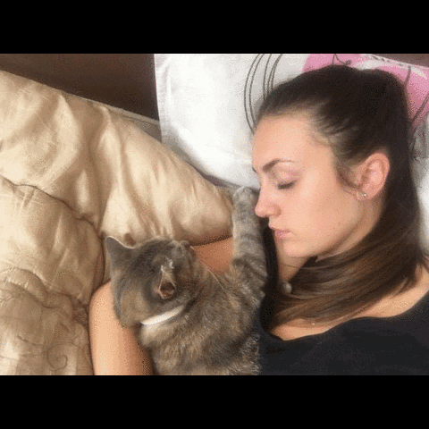 victori  GIF