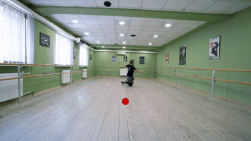 wagnerbrenner  GIF