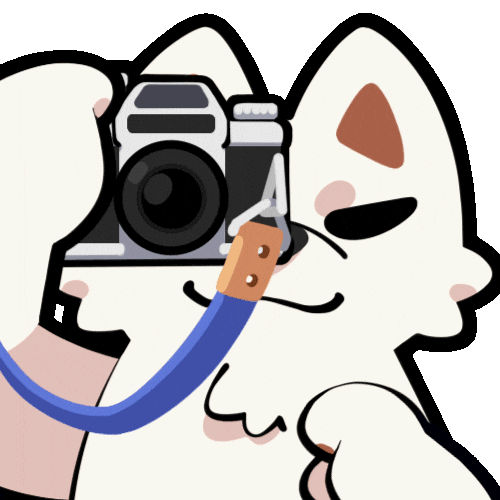 Taking A Picture Sticker GIF