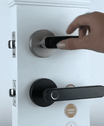 GIF animado