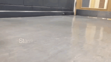 grace_ig  GIF