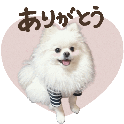 パルレオ Sticker