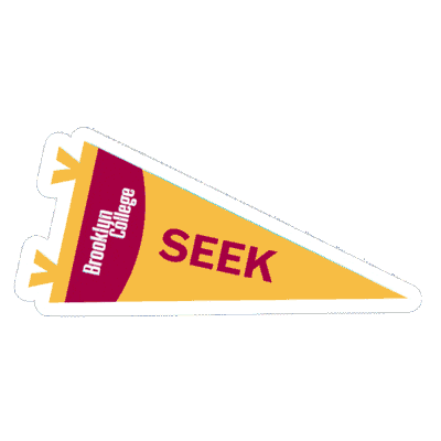 Seek Sticker by Brooklyn College