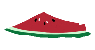 Watermelon Palestine Sticker by Littlecece