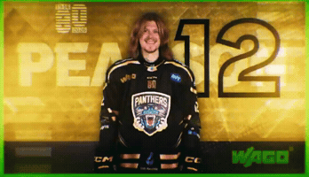 Ice Hockey Panthers GIF