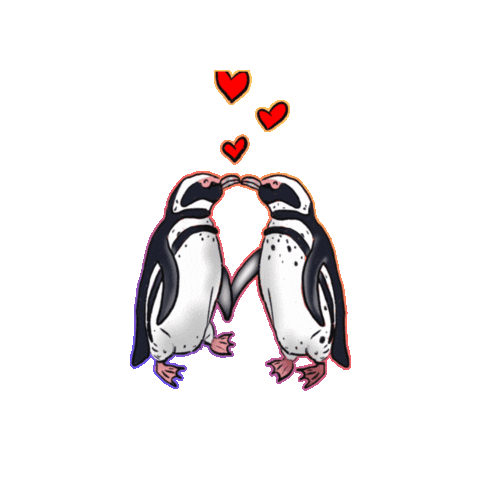 Animated Sticker