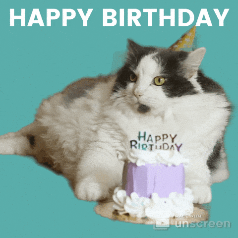 Happy Birthday Cat GIF by Unscreen